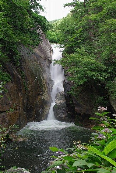 f:id:Argon:20090827003703j:image