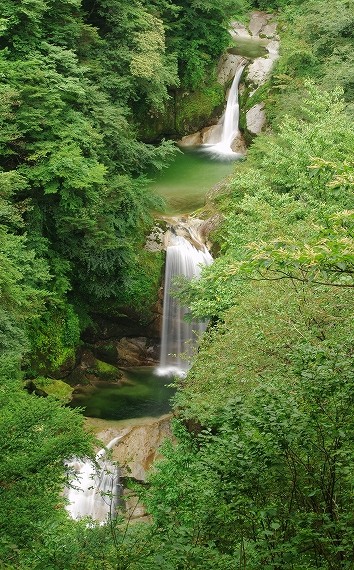 f:id:Argon:20090902180004j:image