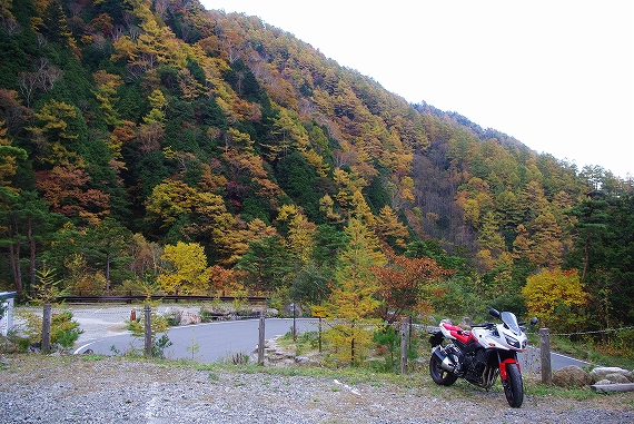 f:id:Argon:20091025122338j:image:w460 f:id:Argon:20091025122338j:image:w460