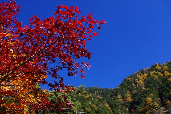 f:id:Argon:20091025122413j:image:w460 f:id:Argon:20091025122413j:image:w460
