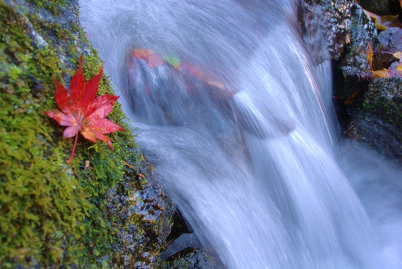 f:id:Argon:20091028184923j:image:w460