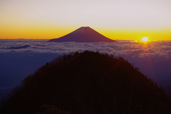 f:id:Argon:20091104211311j:image