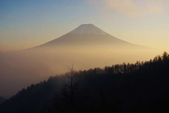 f:id:Argon:20091108195229j:image f:id:Argon:20091108195229j:image