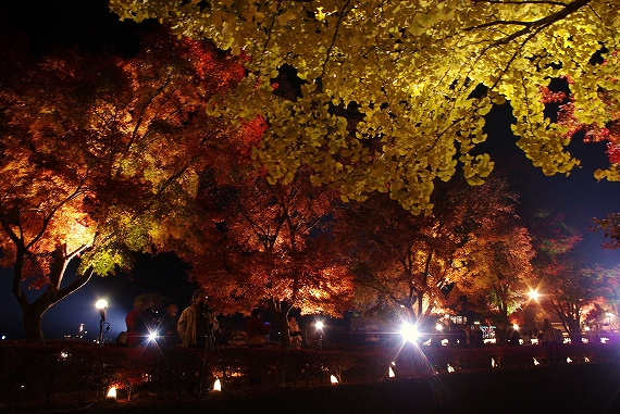 f:id:Argon:20091108195230j:image f:id:Argon:20091108195230j:image
