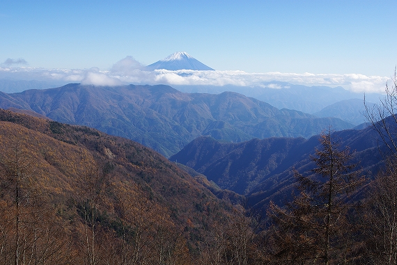 f:id:Argon:20091111124424j:image