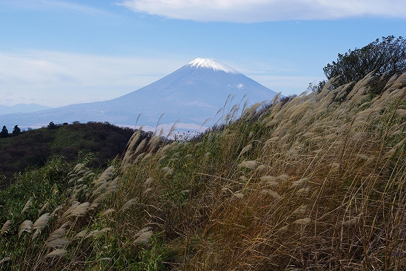 f:id:Argon:20091115230050j:image