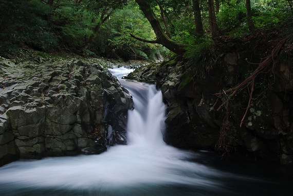 f:id:Argon:20091115230055j:image