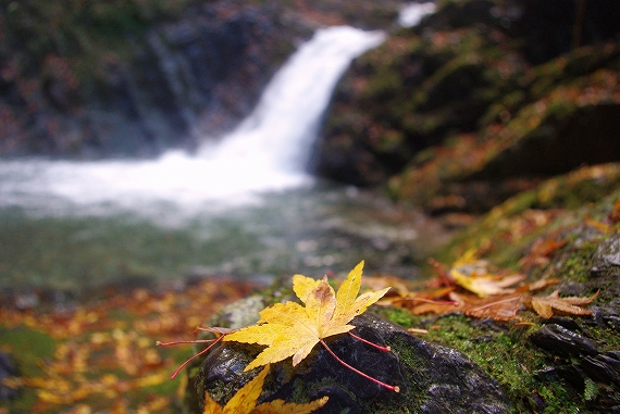 f:id:Argon:20091118230207j:image