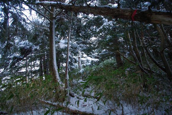 f:id:Argon:20091123071715j:image