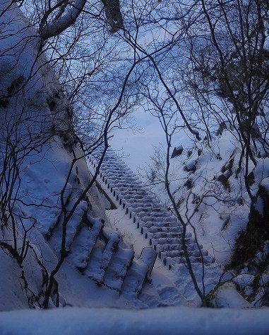 f:id:Argon:20091204205544j:image
