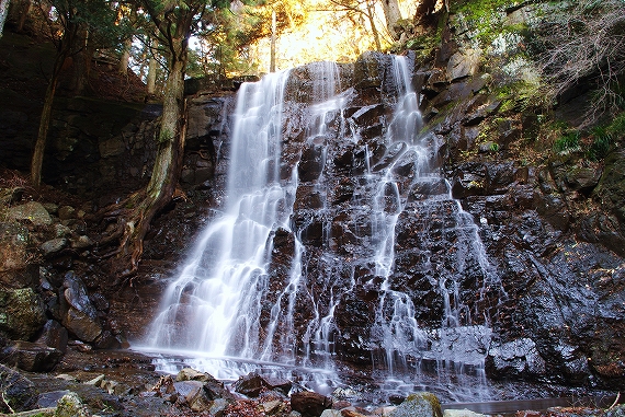 f:id:Argon:20091206185455j:image