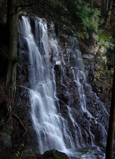 f:id:Argon:20091206191704j:image