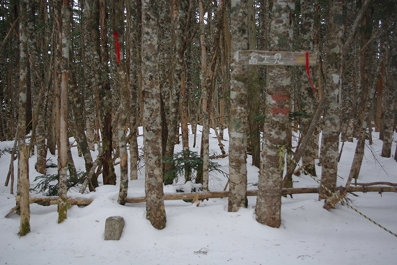 f:id:Argon:20100102212313j:image