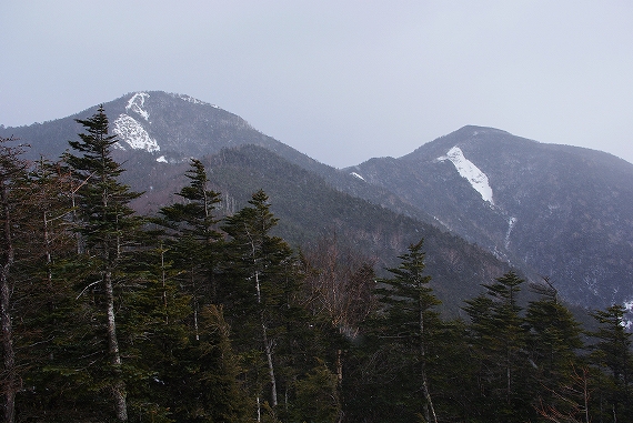 f:id:Argon:20100102212314j:image