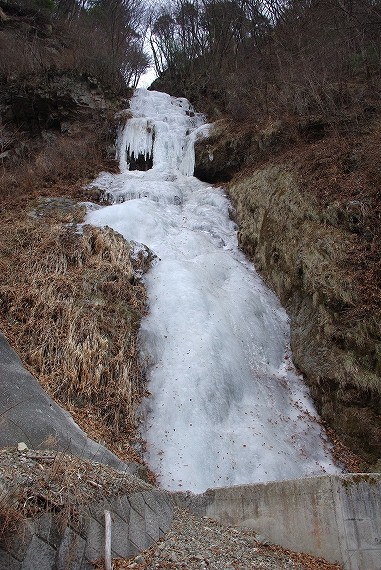 f:id:Argon:20100131220549j:image