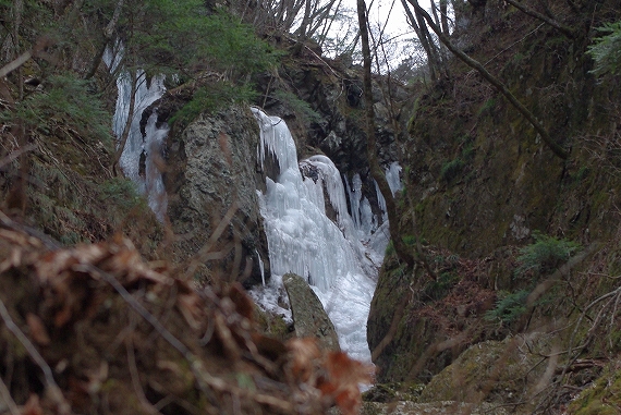 f:id:Argon:20100131221156j:image