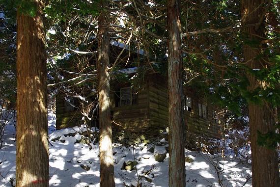 f:id:Argon:20100203185326j:image