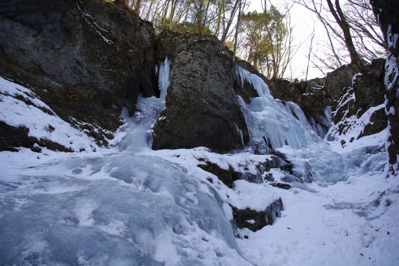 f:id:Argon:20100207221744j:image