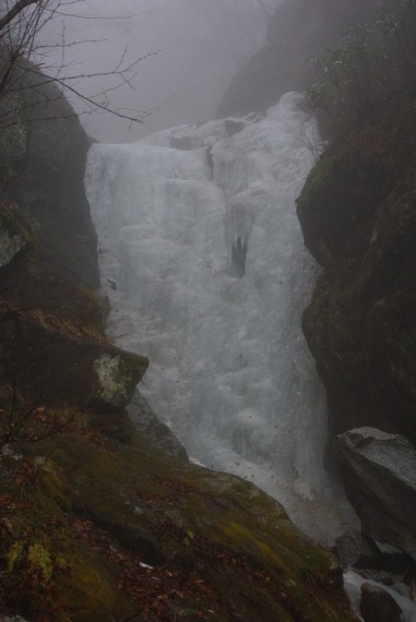 f:id:Argon:20100211212414j:image