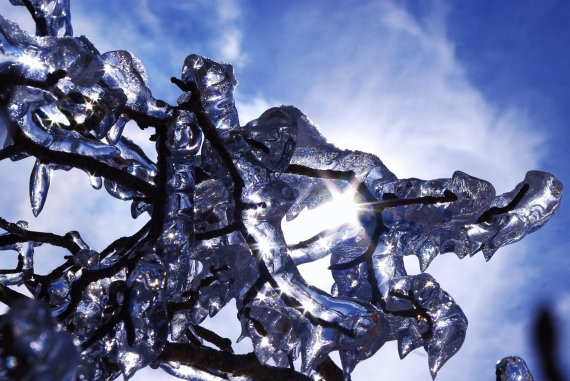 f:id:Argon:20100222194953j:image