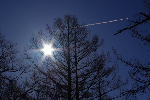 f:id:Argon:20100222194959j:image
