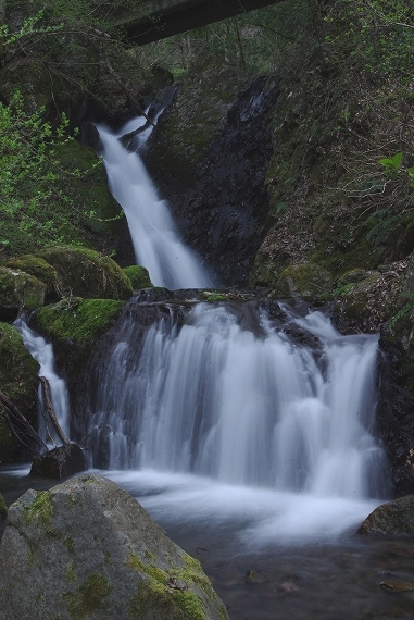 f:id:Argon:20100403180309j:image