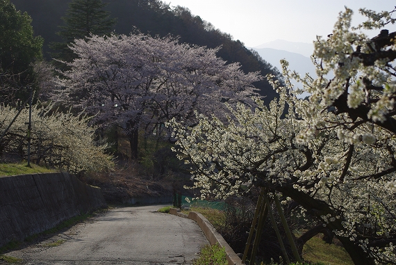 f:id:Argon:20100403180310j:image