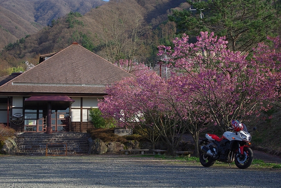 f:id:Argon:20100403180312j:image