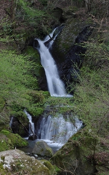 f:id:Argon:20100405201925j:image