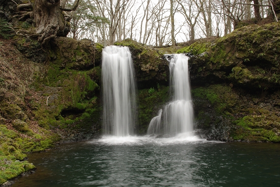 f:id:Argon:20100411193539j:image