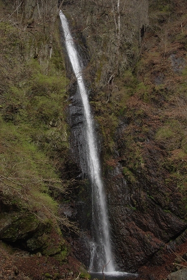 f:id:Argon:20100418191412j:image
