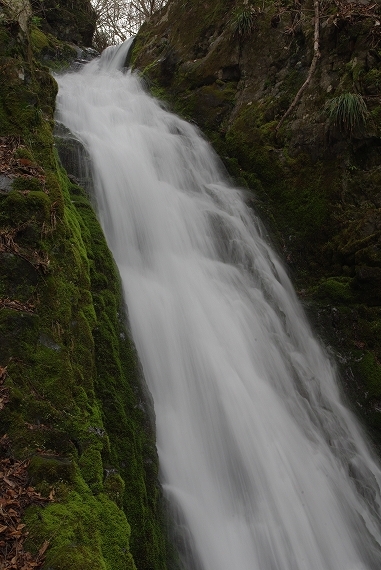 f:id:Argon:20100418191414j:image