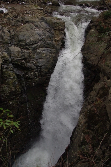 f:id:Argon:20100418221003j:image