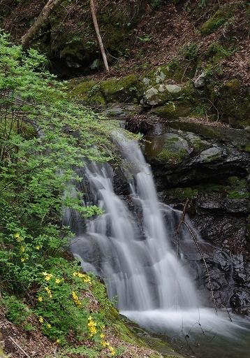 f:id:Argon:20100421224835j:image