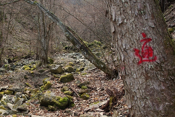 f:id:Argon:20100425221937j:image
