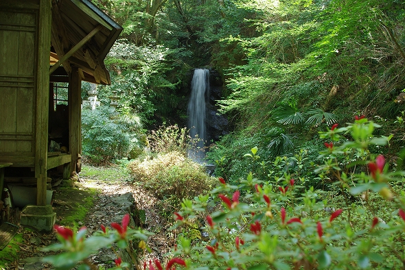 f:id:Argon:20100502171106j:image