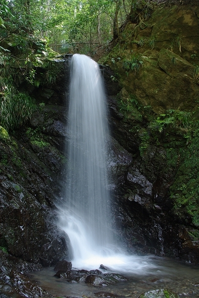 f:id:Argon:20100502171108j:image