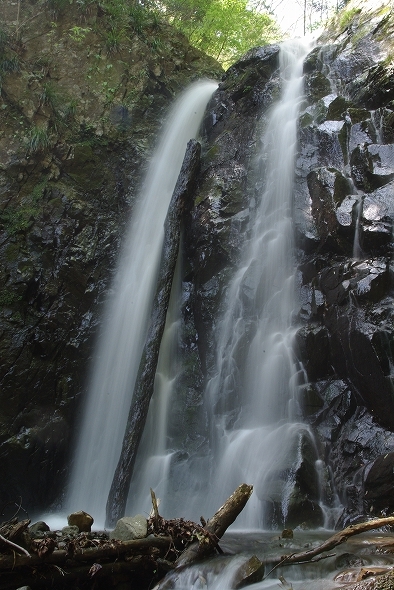 f:id:Argon:20100502171139j:image