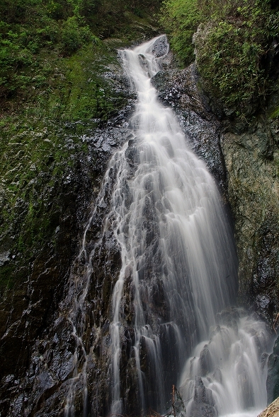 f:id:Argon:20100502171218j:image