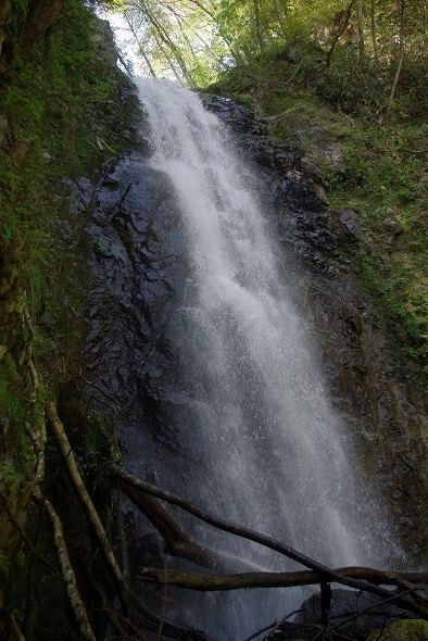 f:id:Argon:20100502171237j:image