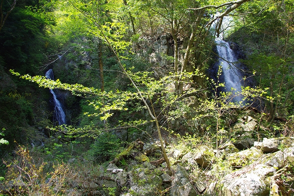 f:id:Argon:20100502192529j:image