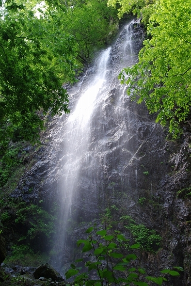 f:id:Argon:20100512161357j:image