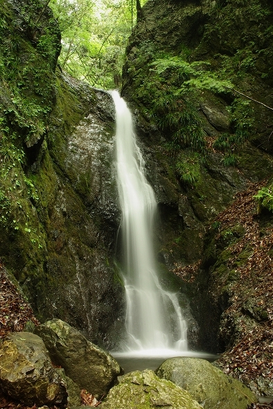 f:id:Argon:20100512161358j:image