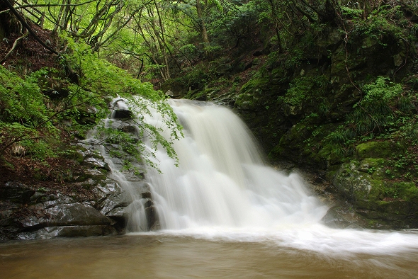 f:id:Argon:20100512195957j:image
