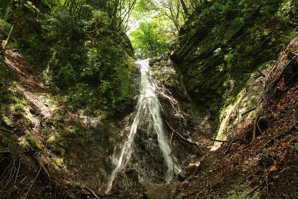 f:id:Argon:20100512195958j:image