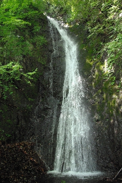 f:id:Argon:20100512195959j:image