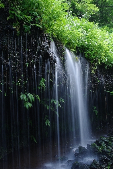 f:id:Argon:20100516220118j:image