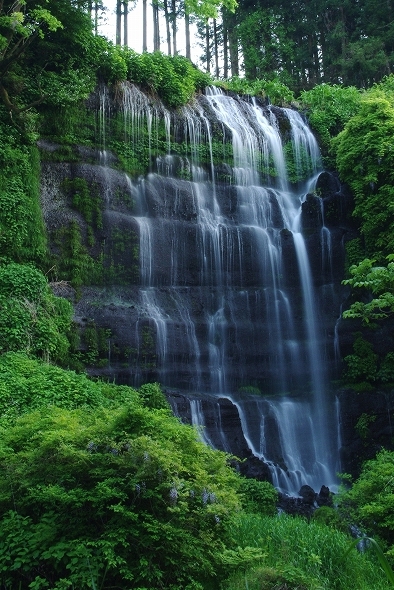 f:id:Argon:20100516220123j:image