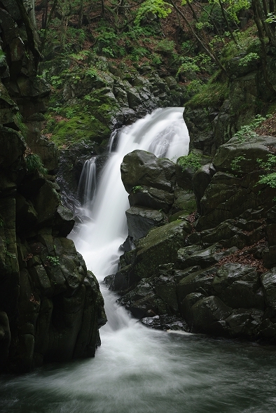 f:id:Argon:20100602194959j:image