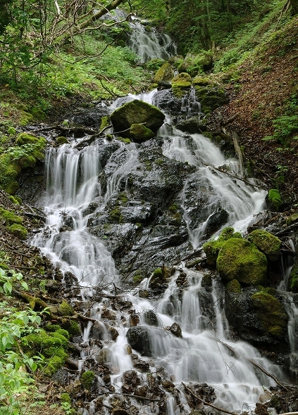 f:id:Argon:20100613213645j:image